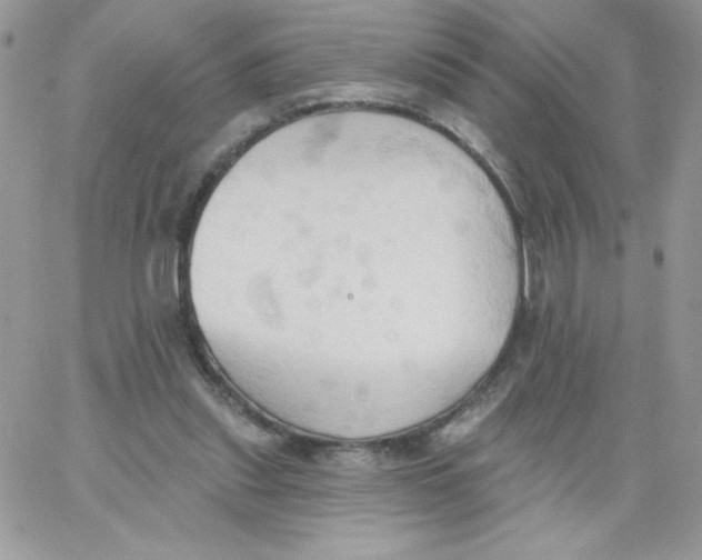 X0000062890253200602031814