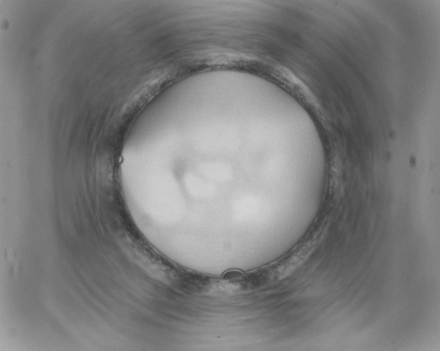 X0000062890257200602031814