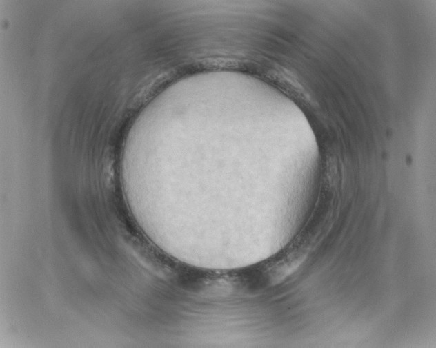 X0000062890259200602031814