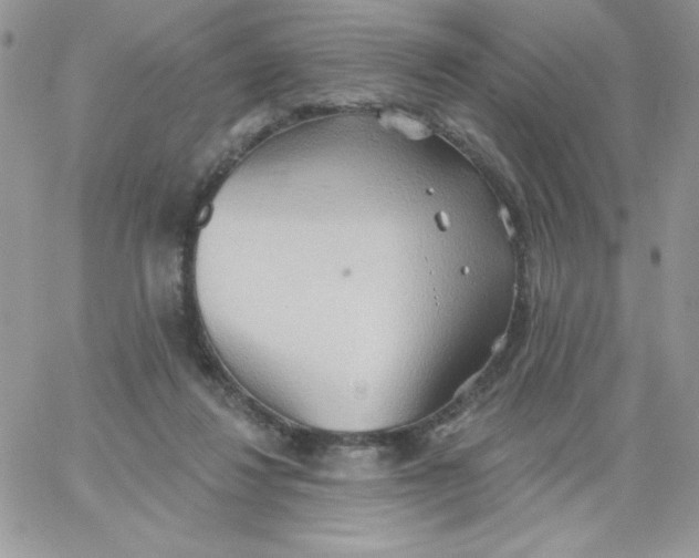 X0000062890260200602031814