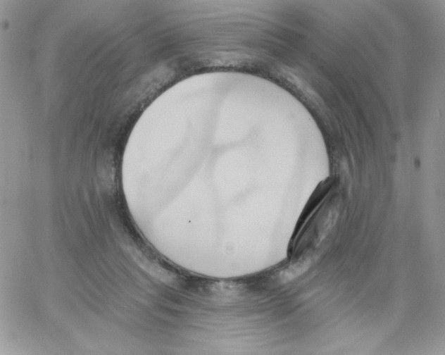 X0000062890261200602031814