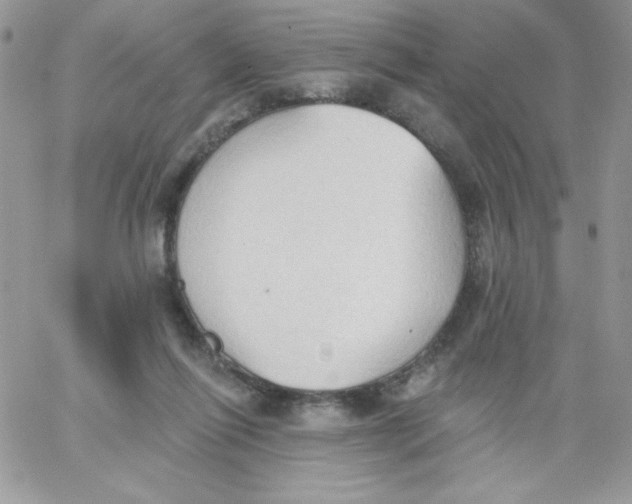 X0000062890262200602031814