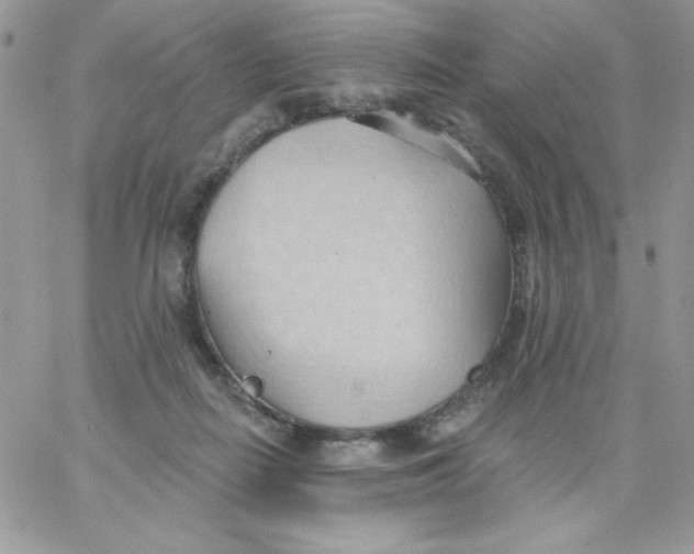 X0000062890266200602031814