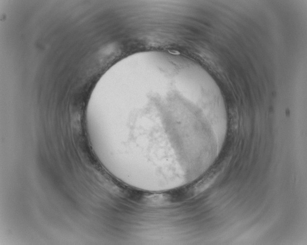 X0000062890269200602031814