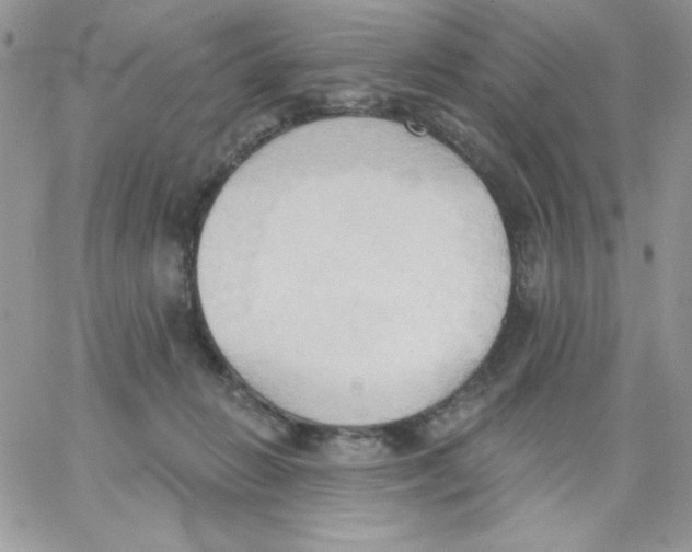 X0000062890270200602031814