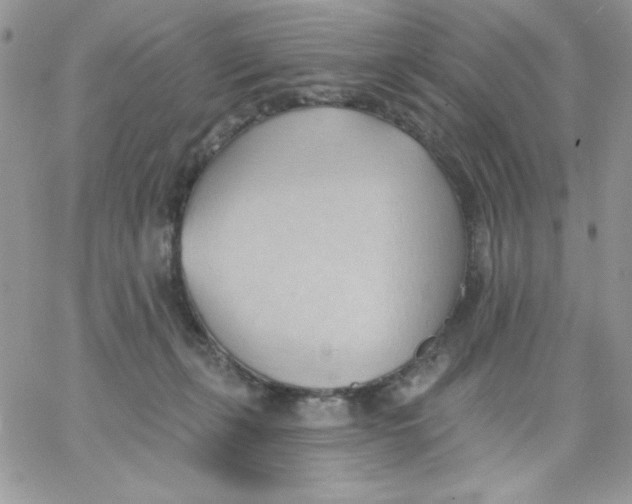 X0000062890271200602031814