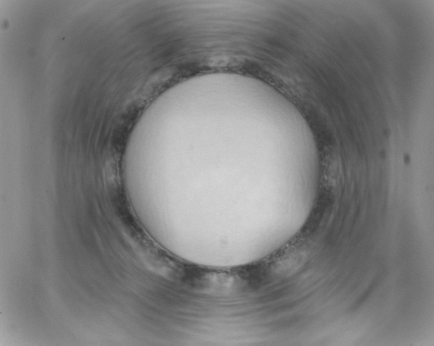 X0000062890272200602031814