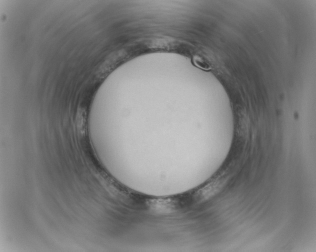 X0000062890273200602031814