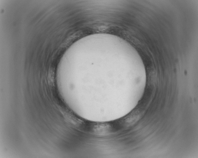 X0000062890274200602031814