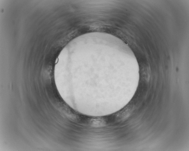 X0000062890275200602031814