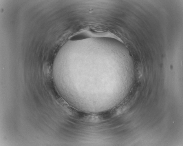 X0000062890276200602031814