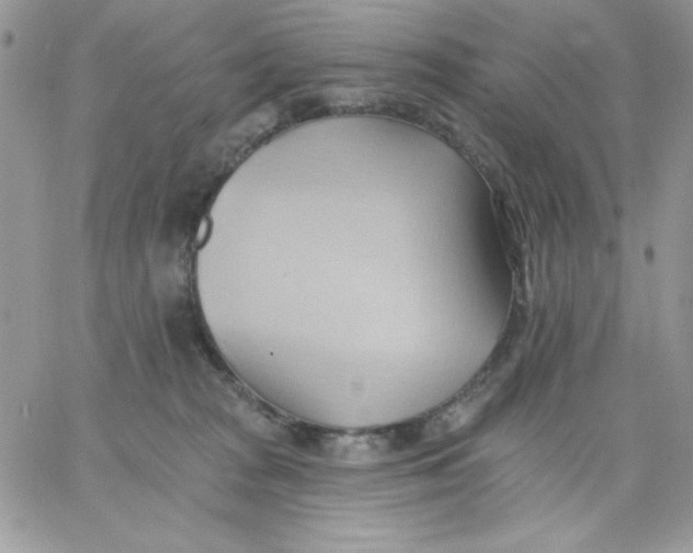 X0000062890277200602031815