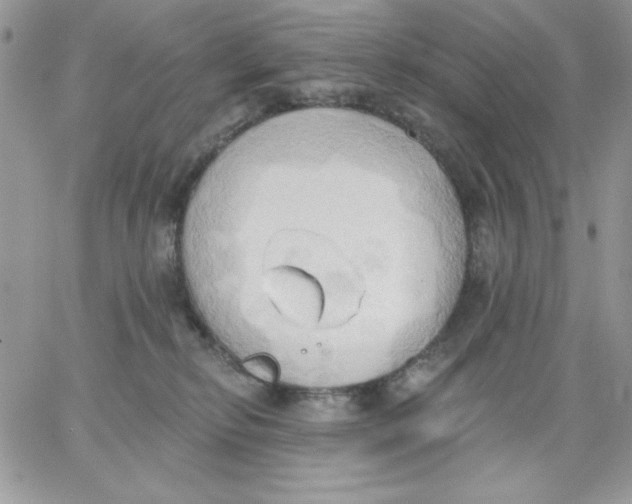 X0000062890278200602031815