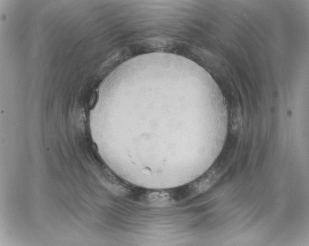 X0000062890279200602031815