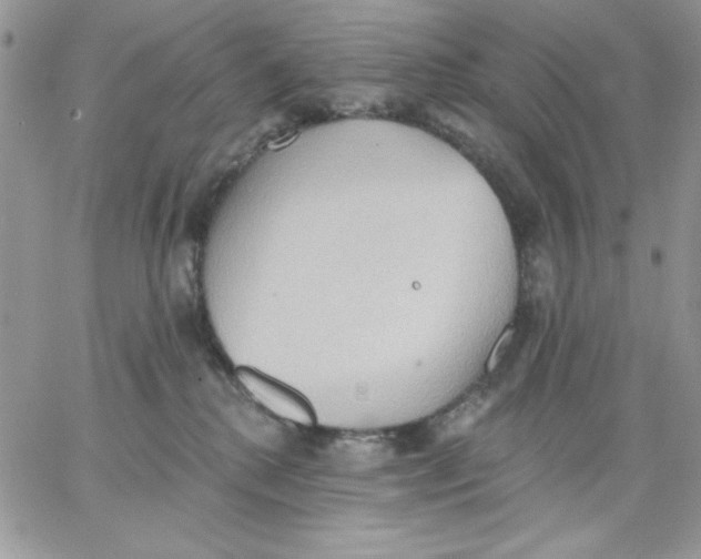 X0000062890280200602031815