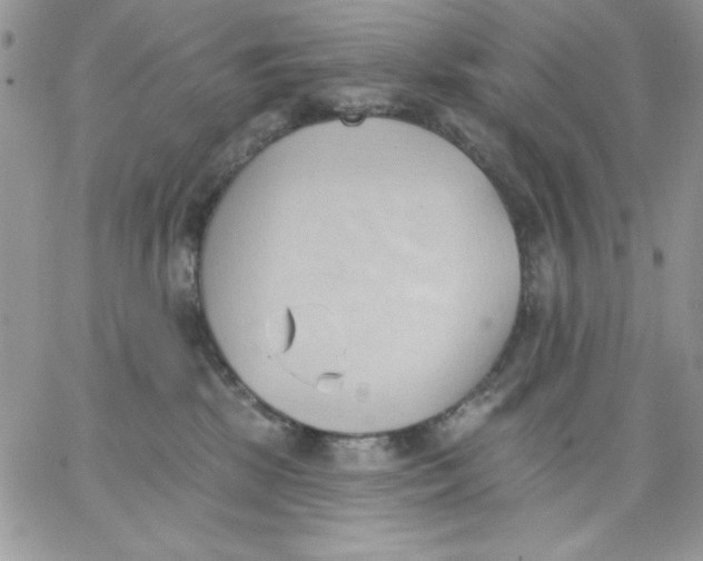 X0000062890281200602031815