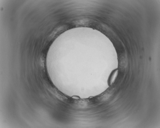 X0000062890282200602031815