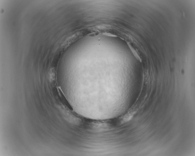 X0000062890284200602031815