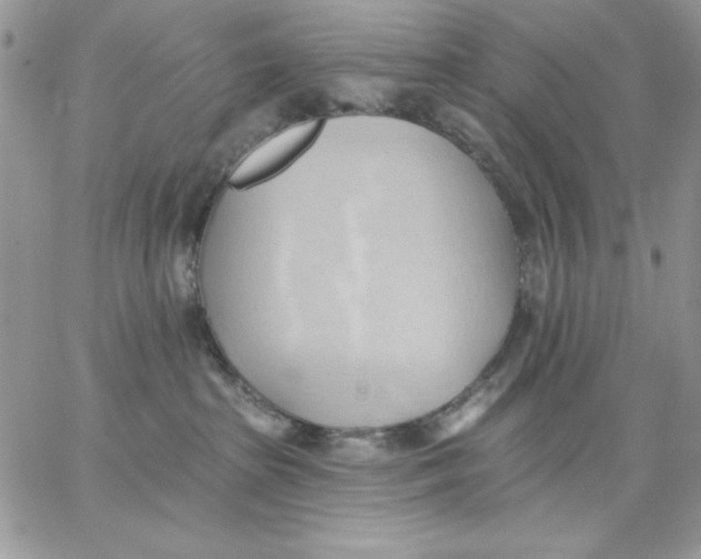 X0000062890285200602031815