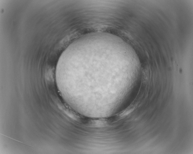 X0000062890286200602031815