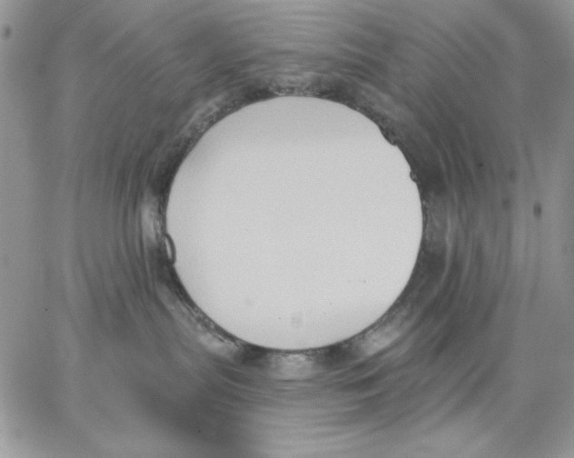 X0000062890287200602031815