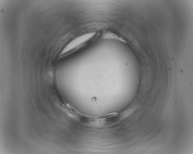 X0000062890288200602031815