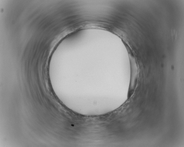 X0000062890289200602031814