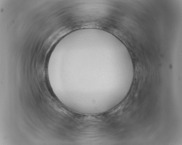 X0000062890290200602031814