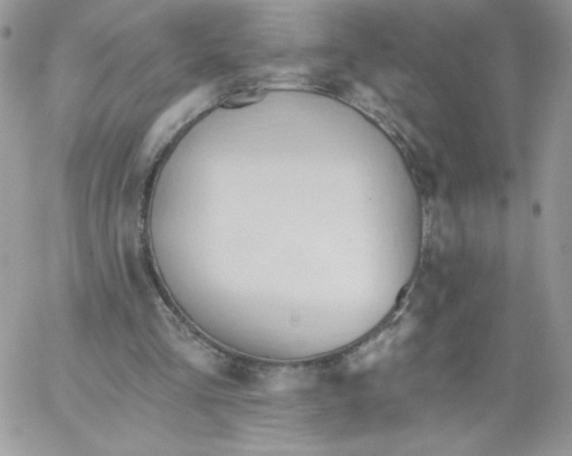 X0000062890293200602031814