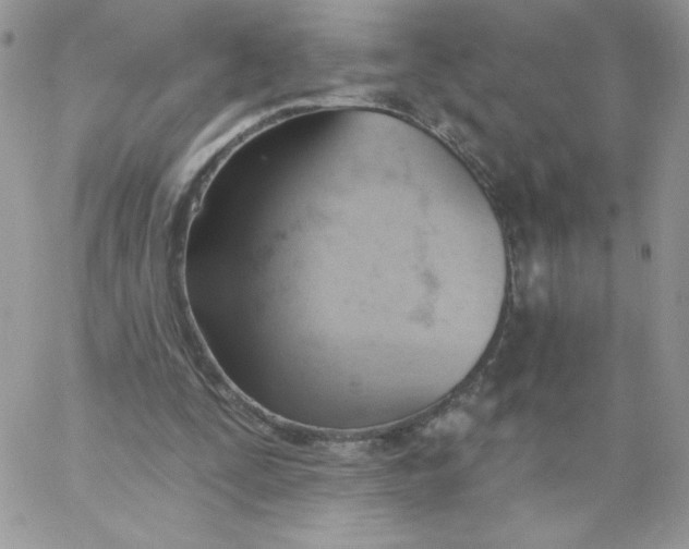 X0000062890295200602031814