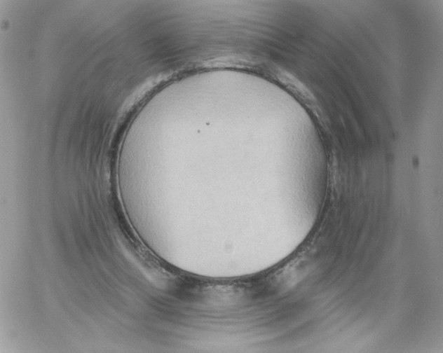 X0000062890298200602031814