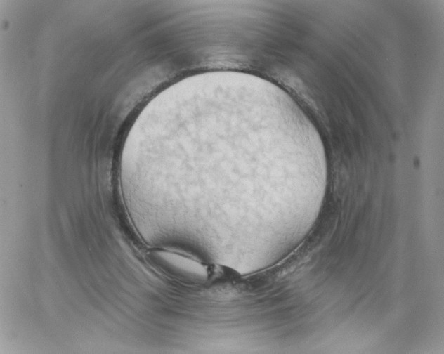 X0000062890299200602031814