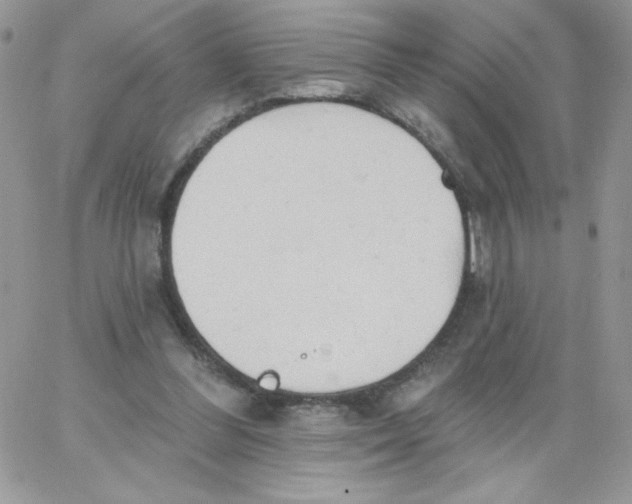 X0000062890300200602031814