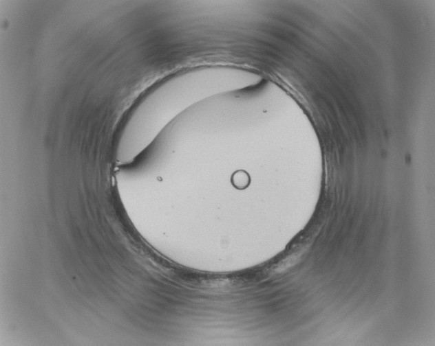 X0000062890301200602031814