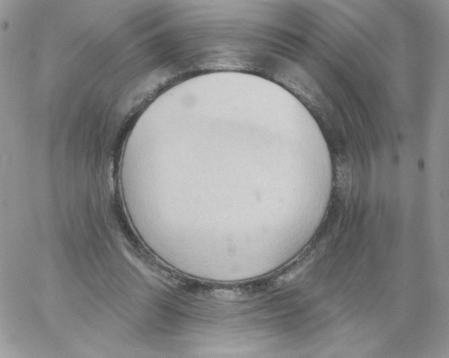 X0000062890302200602031814