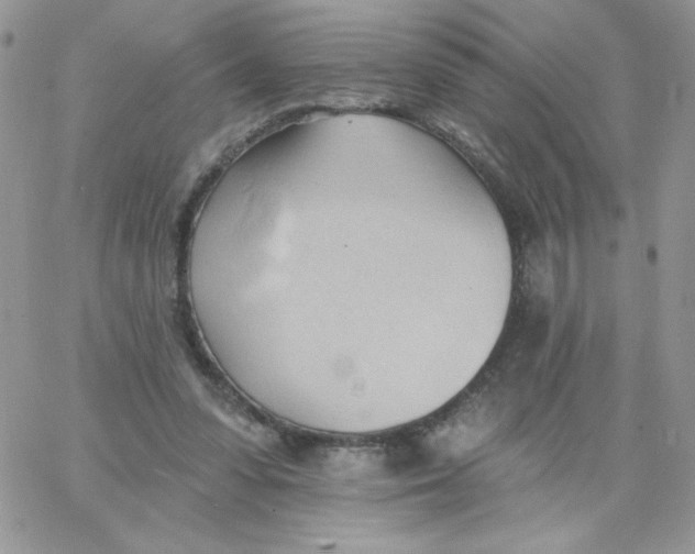 X0000062890303200602031814