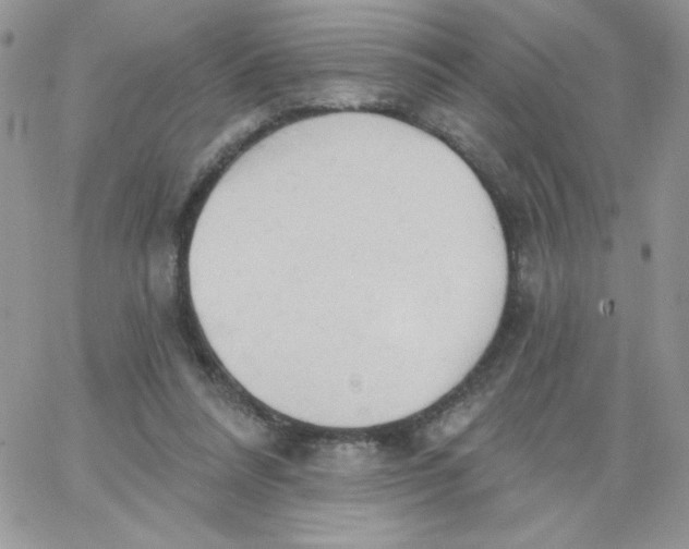 X0000062890304200602031814