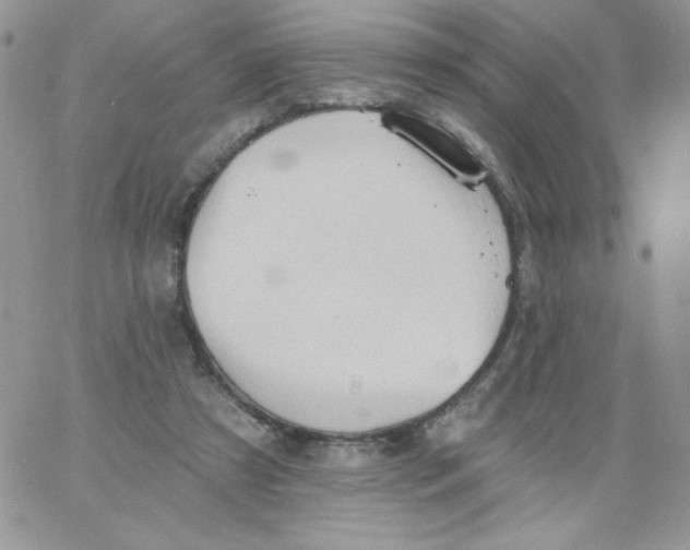 X0000062890305200602031814