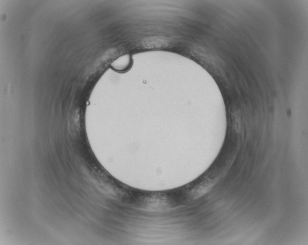 X0000062890308200602031814