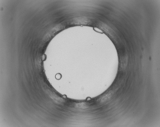 X0000062890309200602031814