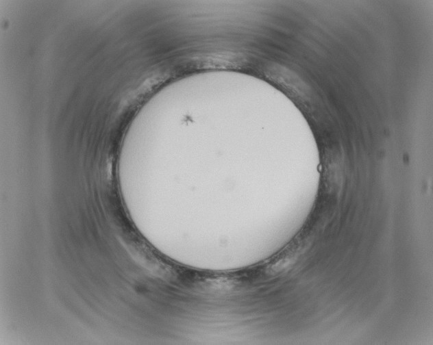 X0000062890310200602031814