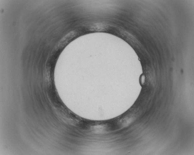 X0000062890312200602031814