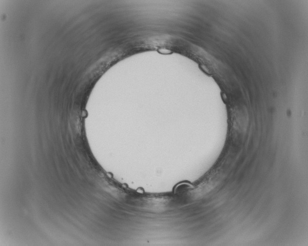 X0000062890313200602031814