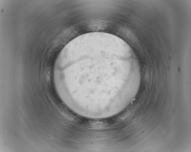 X0000062890315200602031813