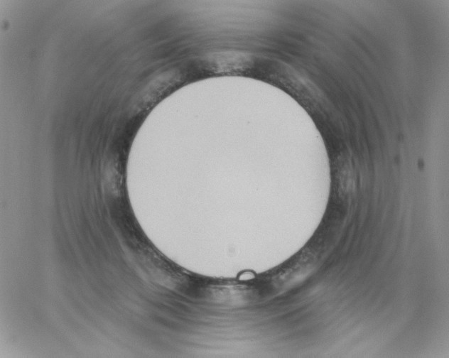 X0000062890316200602031813