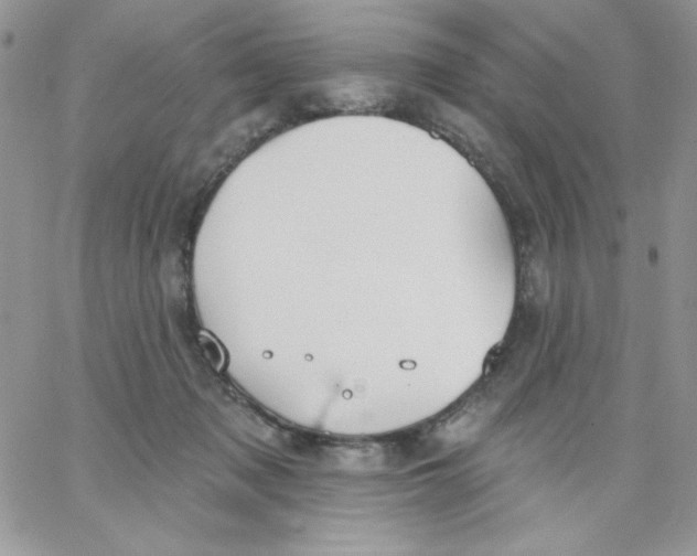 X0000062890317200602031813