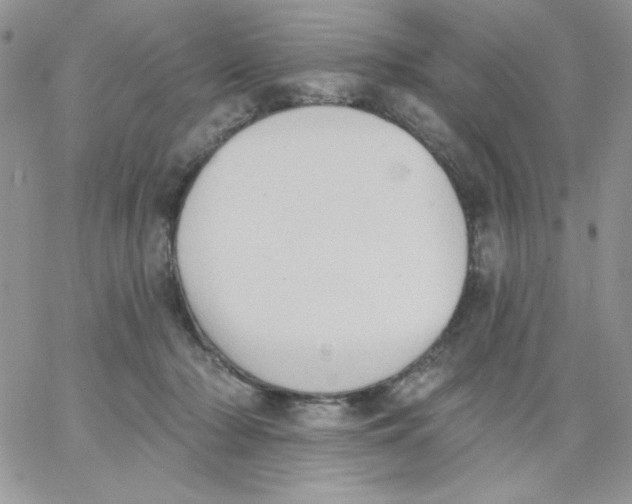 X0000062890318200602031813