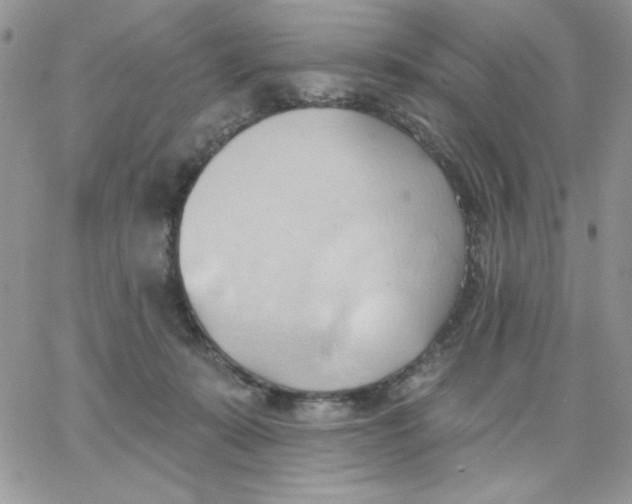 X0000062890319200602031813