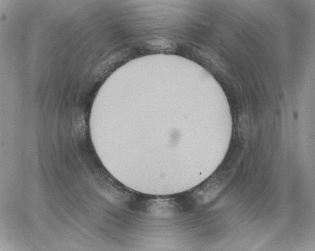 X0000062890320200602031813