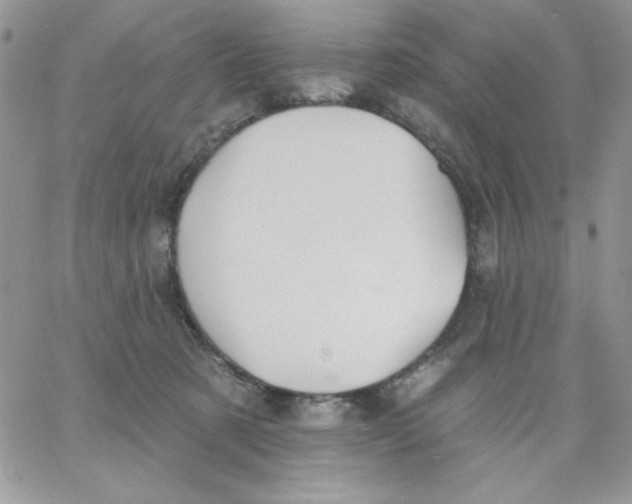 X0000062890321200602031813